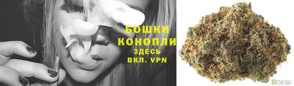 PSILOCYBIN Алексеевка