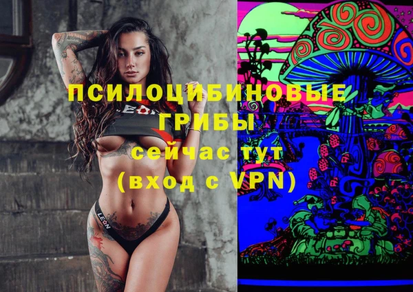 PSILOCYBIN Алексеевка