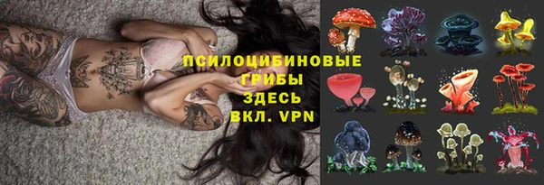mdpv Алзамай
