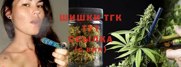 PSILOCYBIN Алексеевка