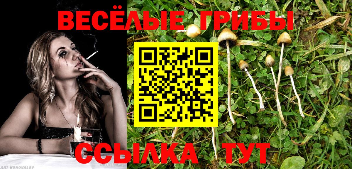 Кинель  Галлюциногенные грибы Cubensis  Вход с VPN 